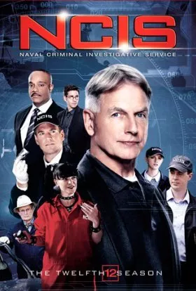 Серіал 'NCIS: Полювання на вбивцю' сезон 12 постер