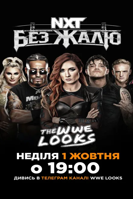 Фільм 'WWE Без Жалю' постер